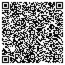 QR code with Cobalt Multimedia Inc contacts