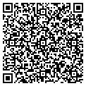 QR code with C Pubs contacts