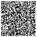 QR code with Webteam contacts