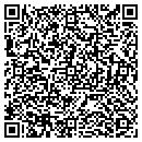 QR code with Public Interactive contacts