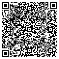 QR code with Vigilinx contacts
