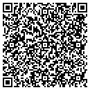 QR code with Princeton Hydro contacts