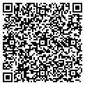 QR code with Dastec contacts