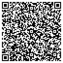 QR code with Captivate Networks contacts