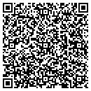 QR code with C H S Technology Inc contacts