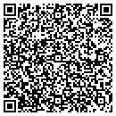 QR code with Pygmalion Designs contacts
