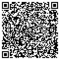 QR code with Mlgc contacts
