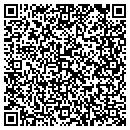 QR code with Clear Skies Virtual contacts