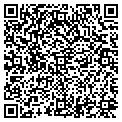 QR code with Sinew contacts