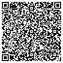 QR code with Pro Player Connect contacts