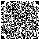 QR code with Blue Waters Technologies contacts