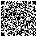 QR code with Pyrex Designs LLC contacts