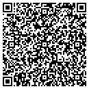 QR code with Blue Mar Web Design contacts