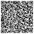 QR code with Citigroup Technology contacts