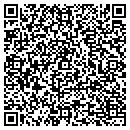 QR code with Crystal Global Info Tech LLC contacts