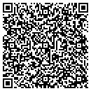 QR code with Cybernet Web Design contacts