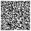 QR code with Bluetrain Technology contacts