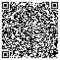 QR code with Msdpo contacts