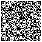 QR code with Blue Water Technologies contacts