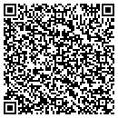 QR code with Cyclics Corp contacts