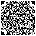 QR code with Dinobyte, LLC contacts