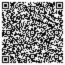 QR code with Pro Web Designers contacts