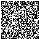 QR code with Professional Dynamics LLC contacts