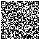 QR code with Conceptual Solutions contacts