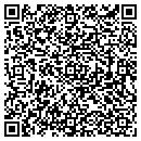 QR code with Psymed Consult Inc contacts