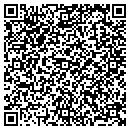 QR code with Clarion Technologies contacts
