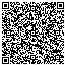 QR code with Probetex Inc contacts