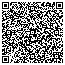 QR code with Q V 21 Technologies contacts