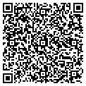 QR code with Navteq contacts