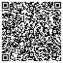 QR code with Citigroup Technology contacts