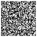 QR code with Cyberwares Net Inc contacts