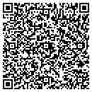 QR code with Premierglobal contacts