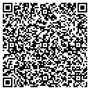 QR code with Primary Insights Inc contacts