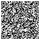QR code with Charles W Lentz Jr contacts