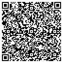 QR code with Clark Pinnacle LLC contacts
