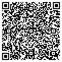 QR code with Ardito contacts
