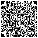 QR code with Premier Care contacts