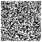 QR code with Premier Painting Service contacts