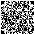 QR code with Sdg Inc contacts