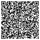 QR code with Cvi Analytics Inc contacts