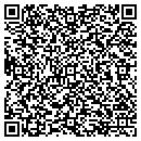 QR code with Cassina Technology Inc contacts
