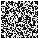 QR code with Pulis Brenda contacts