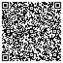 QR code with Premier Electronics LLC contacts