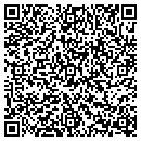 QR code with Puja Consulting LLC contacts
