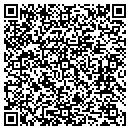 QR code with Professional Technical contacts
