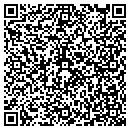 QR code with Carrier Consultants contacts